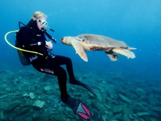 How To Get To Dalyan?