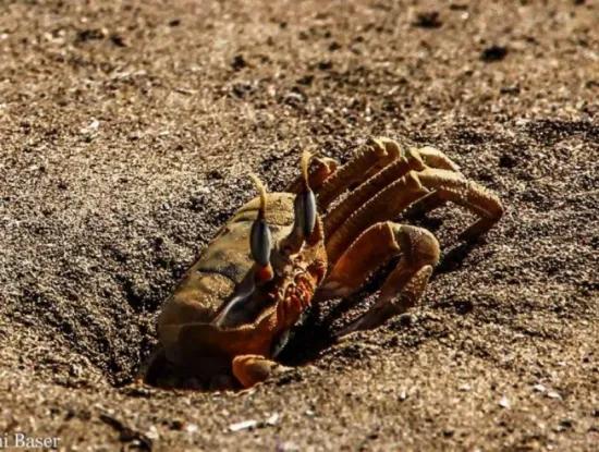 How To Get To Dalyan?