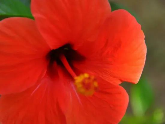 Osmanlı Hanı Fotoğrafları